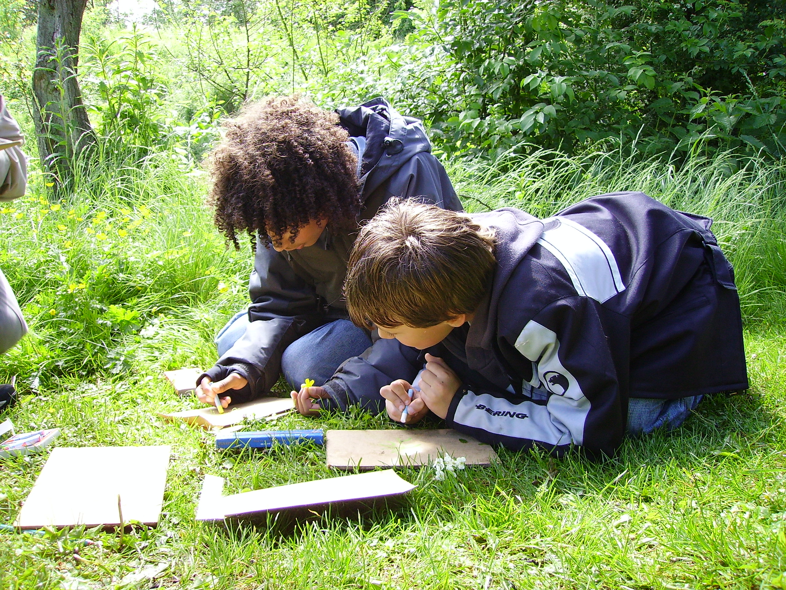 Une cours nature pour éduquer au vivant
