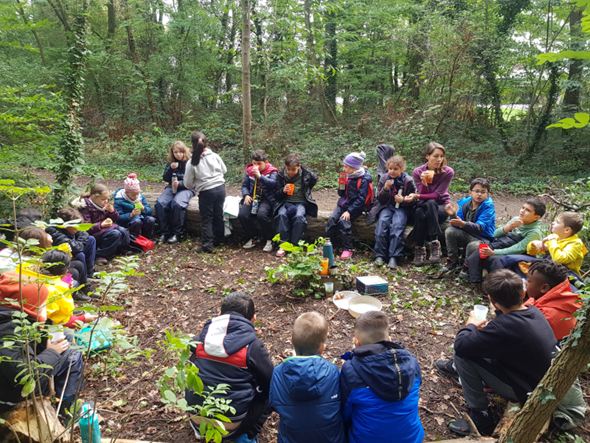 Enfants assis sur des troncs ayant classe dans un bois