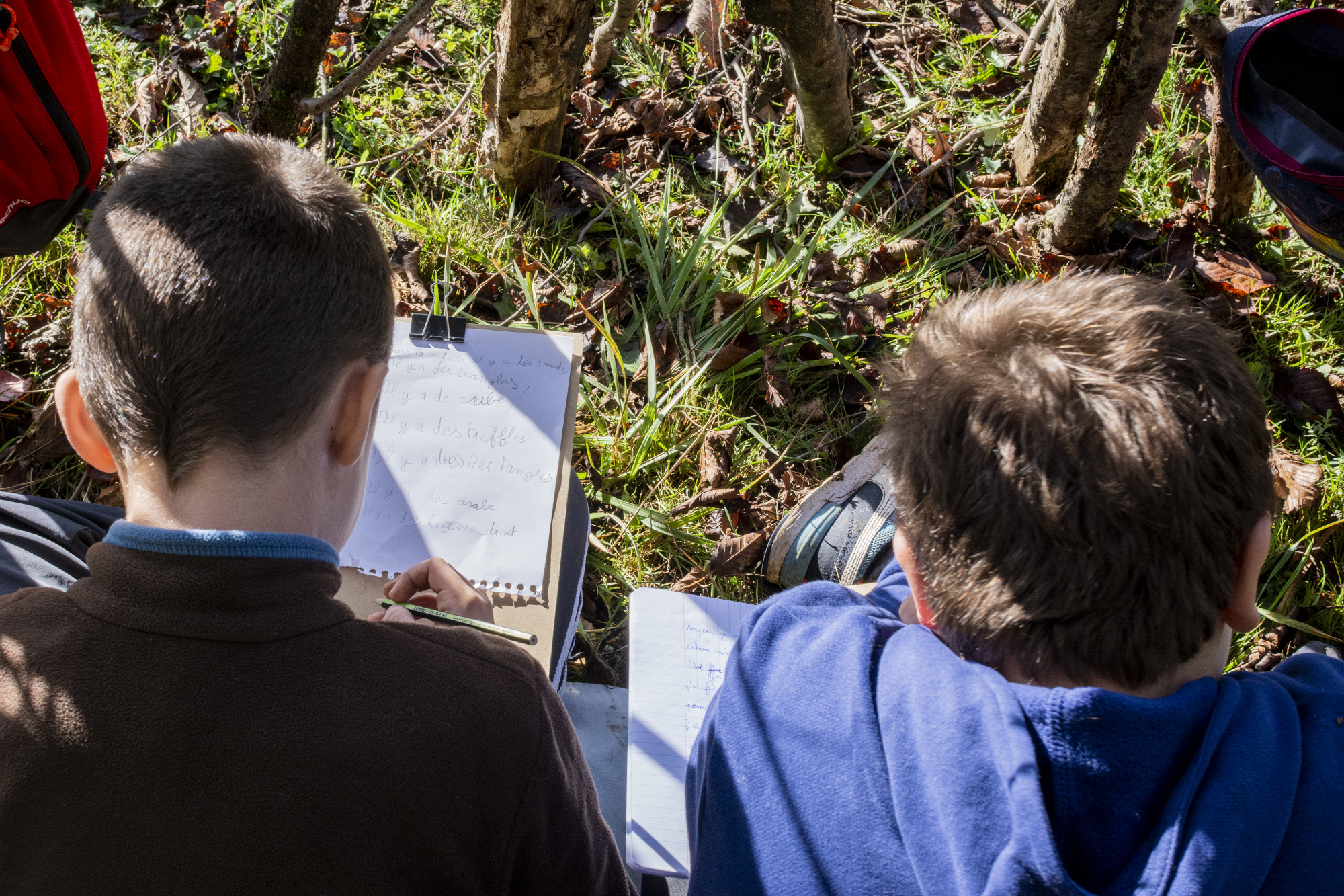 Exercice de maths en forêt