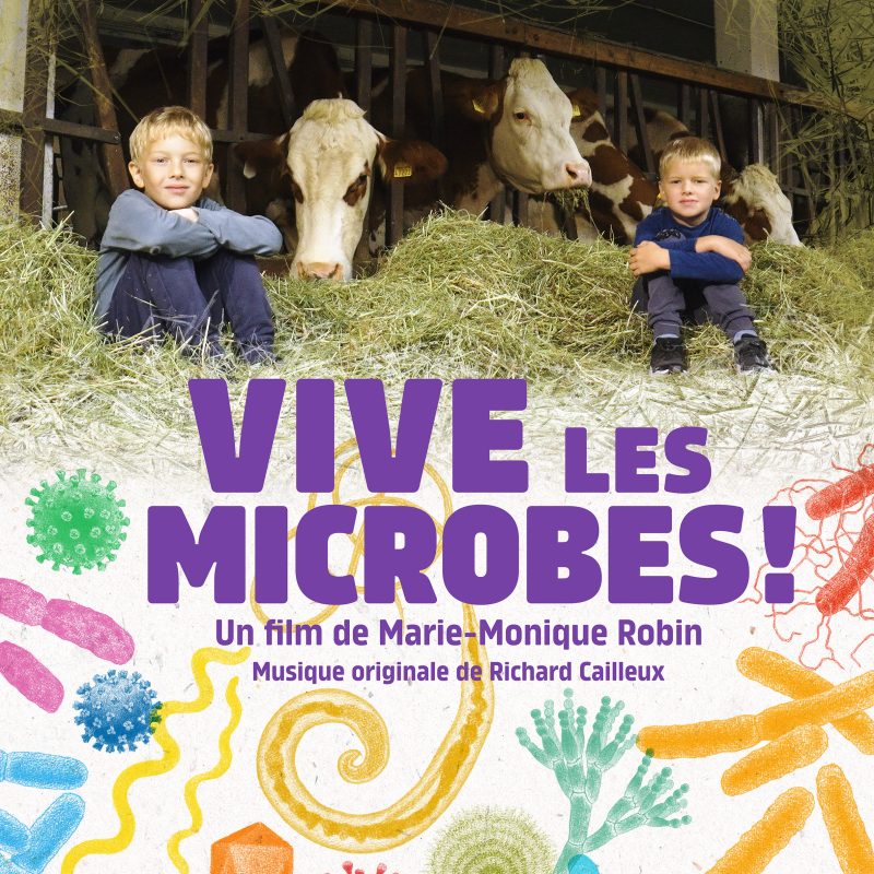 Affiche VLM Modifié