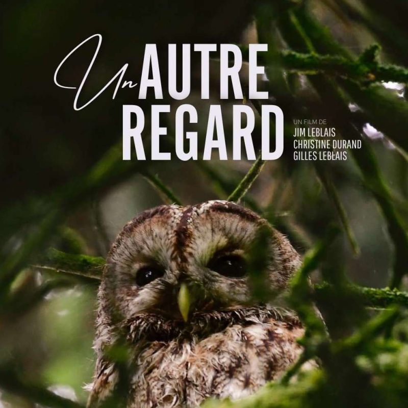 Une immersion dans la magie du quotidien - 3