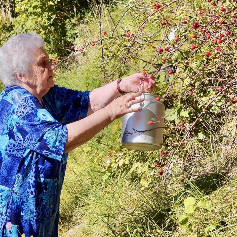 GermaineFéeDel'OrVert