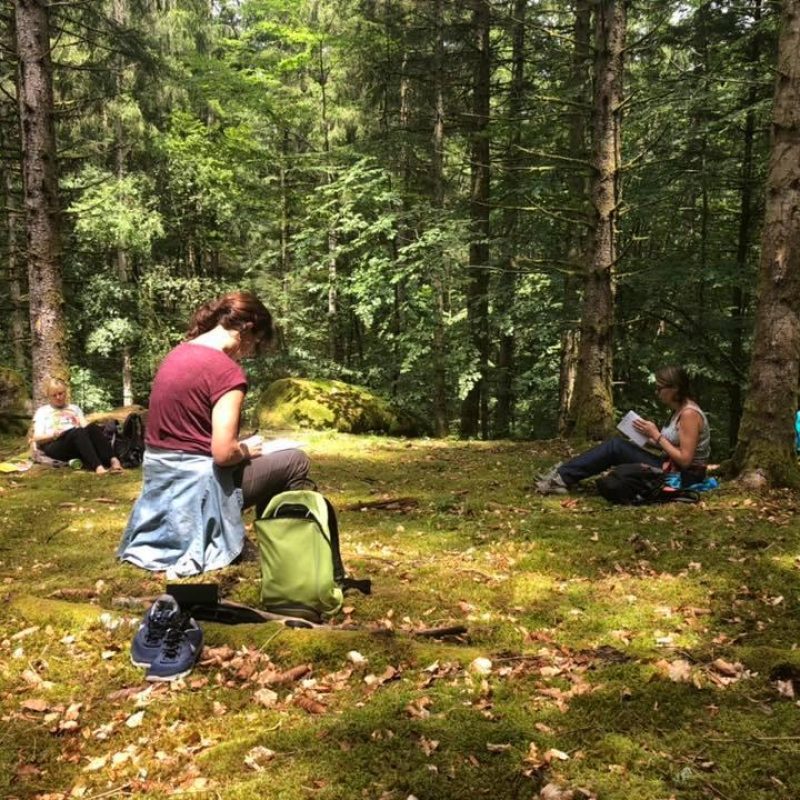 WhatsApp Image 2026-02-06 at 17.17.28