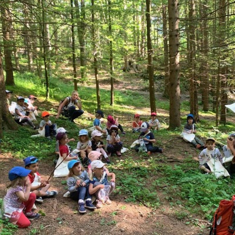 Des enfants font classe dehors dans une forêt d'épicéas