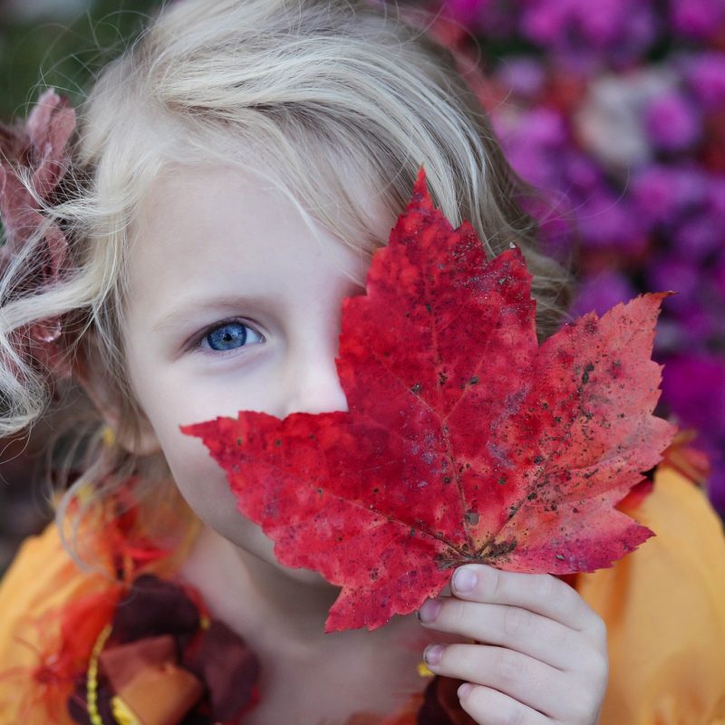Une petite fille tient une feuille d'automne devant son visage