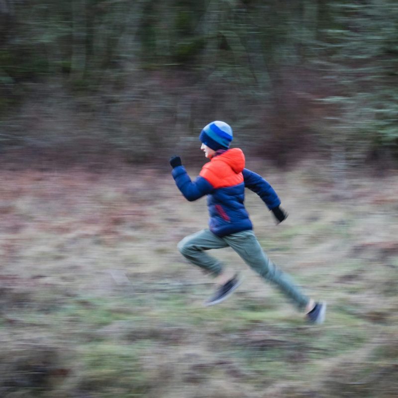 greg-rosenke-coursebois