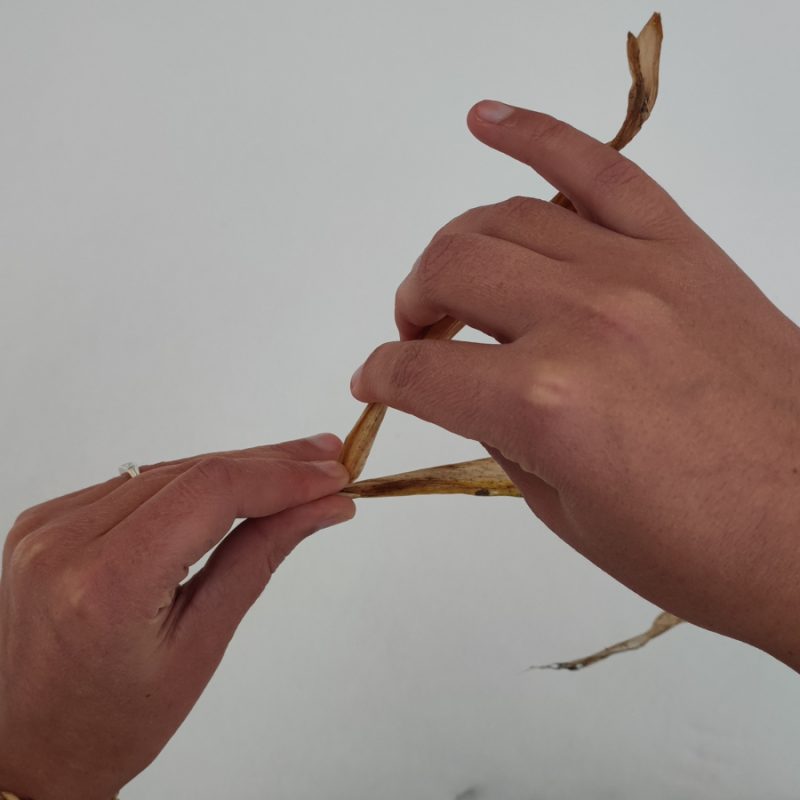 Une personne tresse un bracelet avec un élément naturel